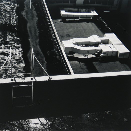 Ray Belcher Ladder and Y Photography