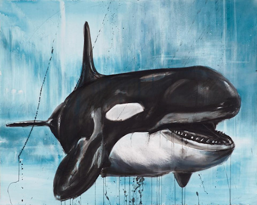 Judith Brandon Orca / I Will Not Behave