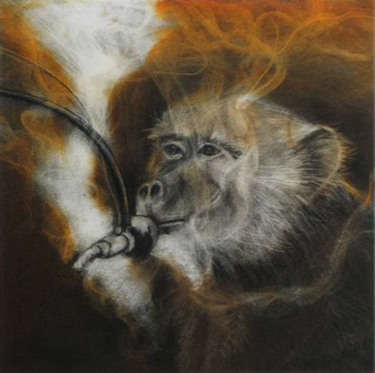 Judith Brandon Smoking Monkey