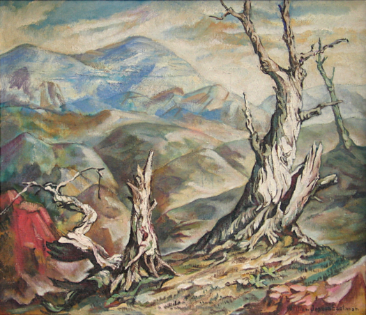 William Joseph Eastman Mt Evans