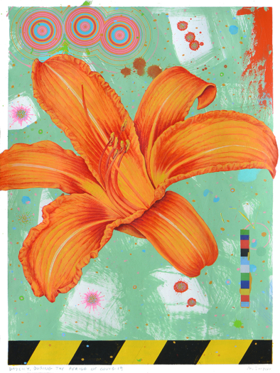 Scott McIntire Day Lily