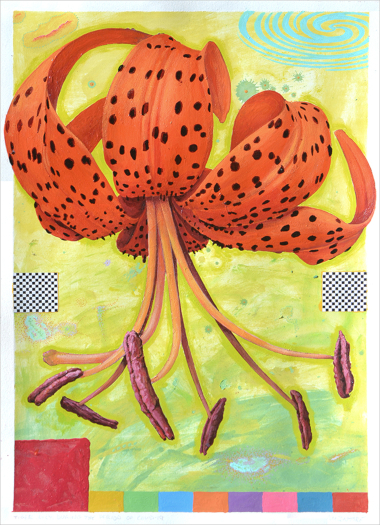 Scott McIntire Tiger Lily During the Period of Covid-19
