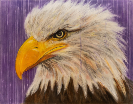 Judith Brandon Eagle