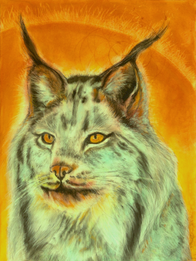 Judith Brandon Lynx