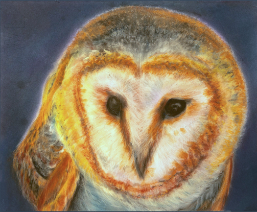 Judith Brandon Owl