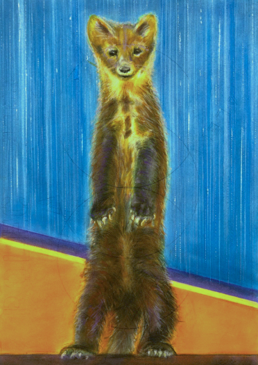 Judith Brandon Polecat