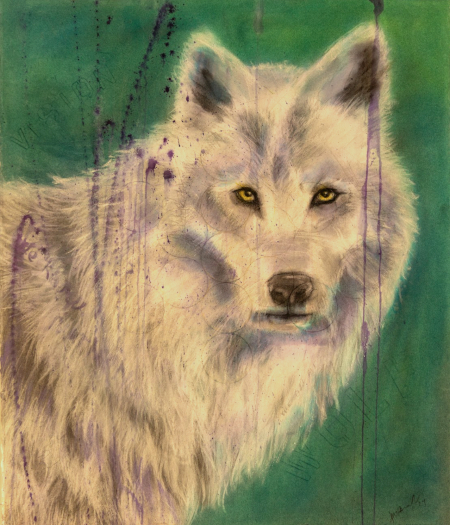 Judith Brandon Wolf